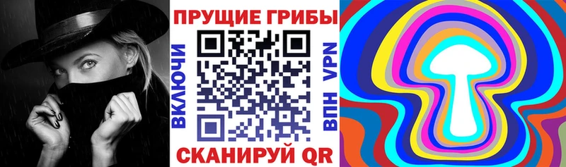 Галлюциногенные грибы прущие грибы Галич